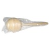 013 0016 Round