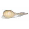 013 0016 Oval