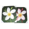 075 0035 Single Flower Pcs